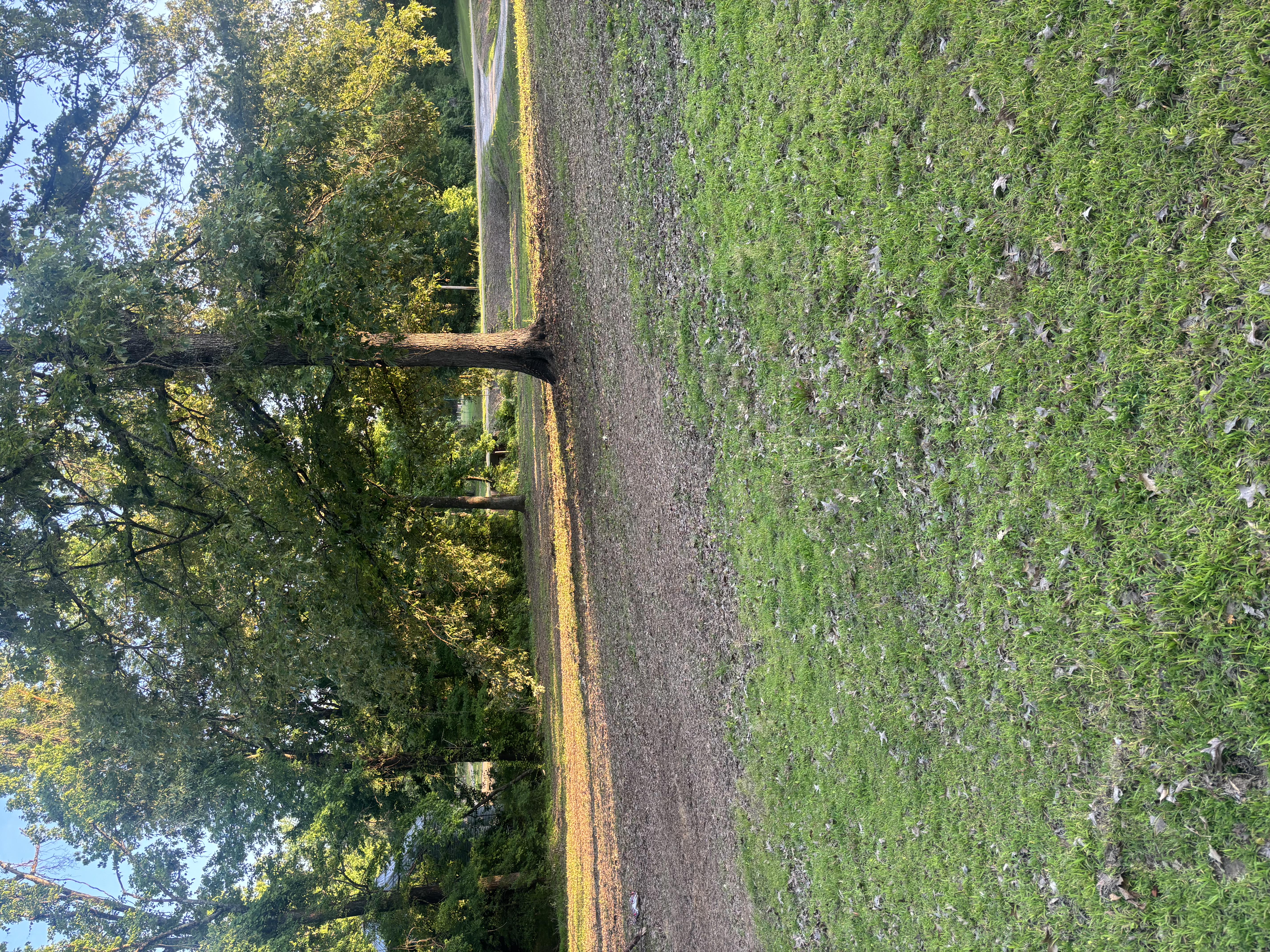 Professionally cleared land North Mississippi — Hopper Land Solutions result