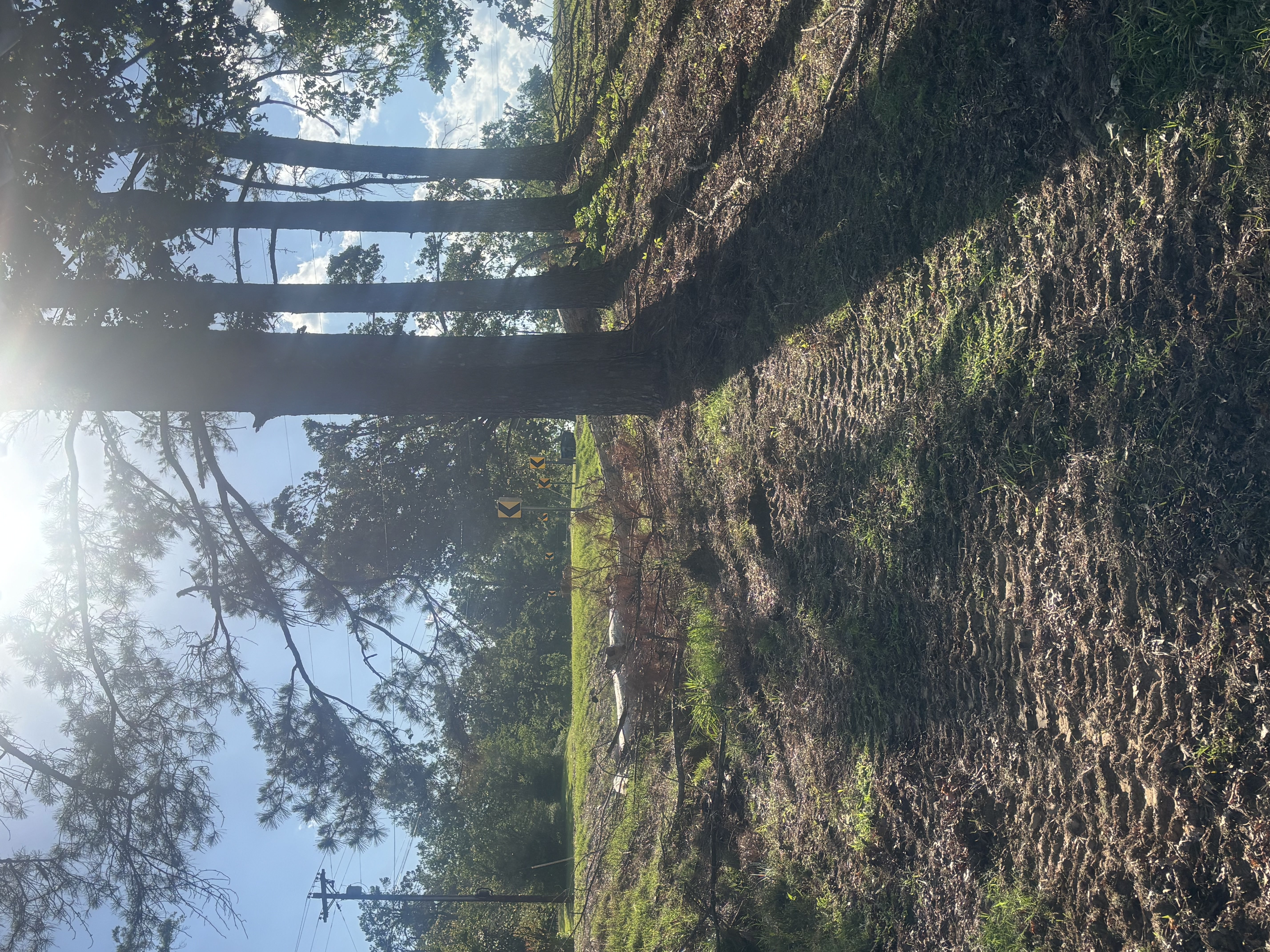 Land clearing services DeSoto County and Western Tennessee — Hopper Land Solutions