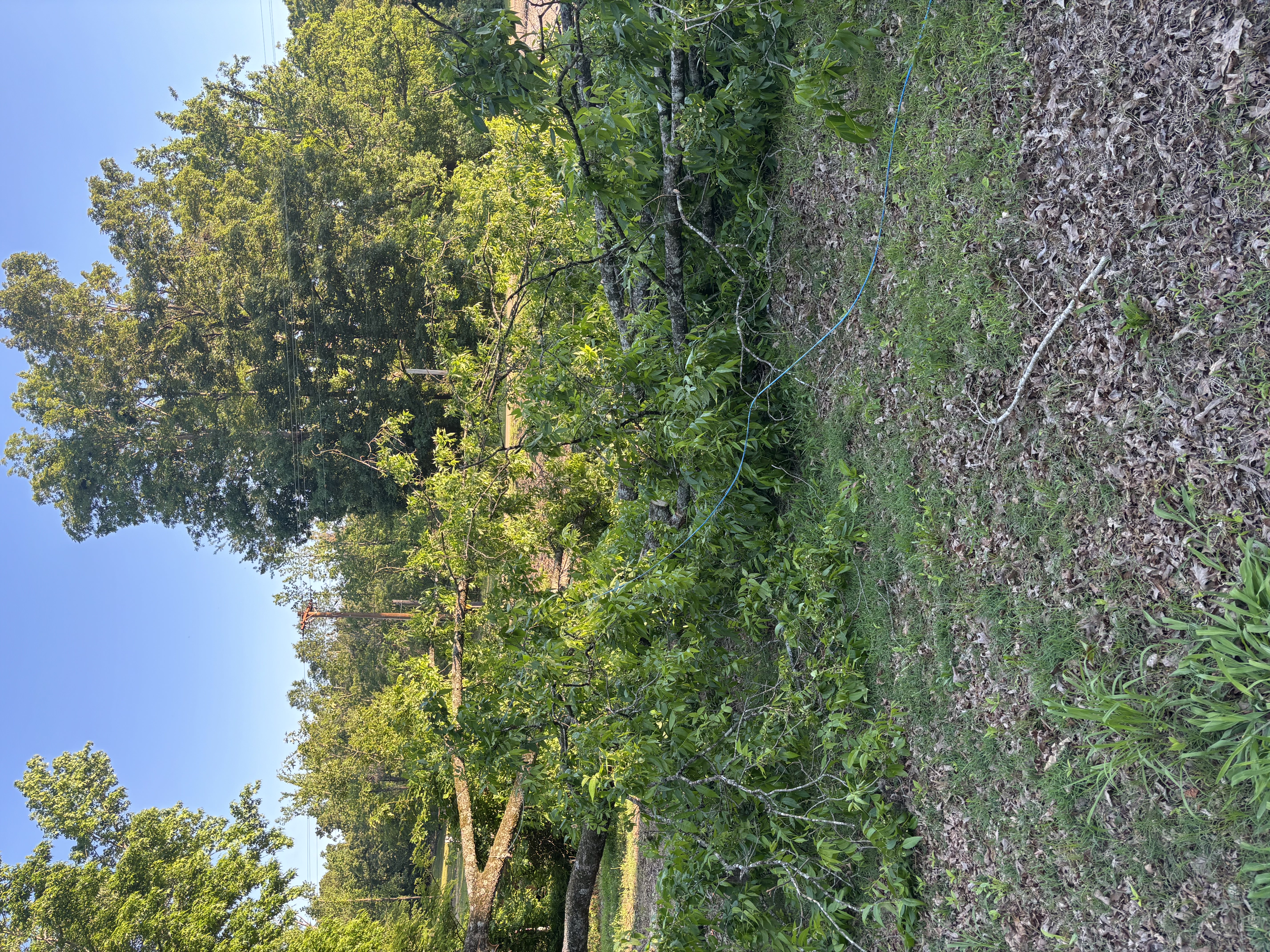 Storm debris land clearing North Mississippi — Hopper Land Solutions