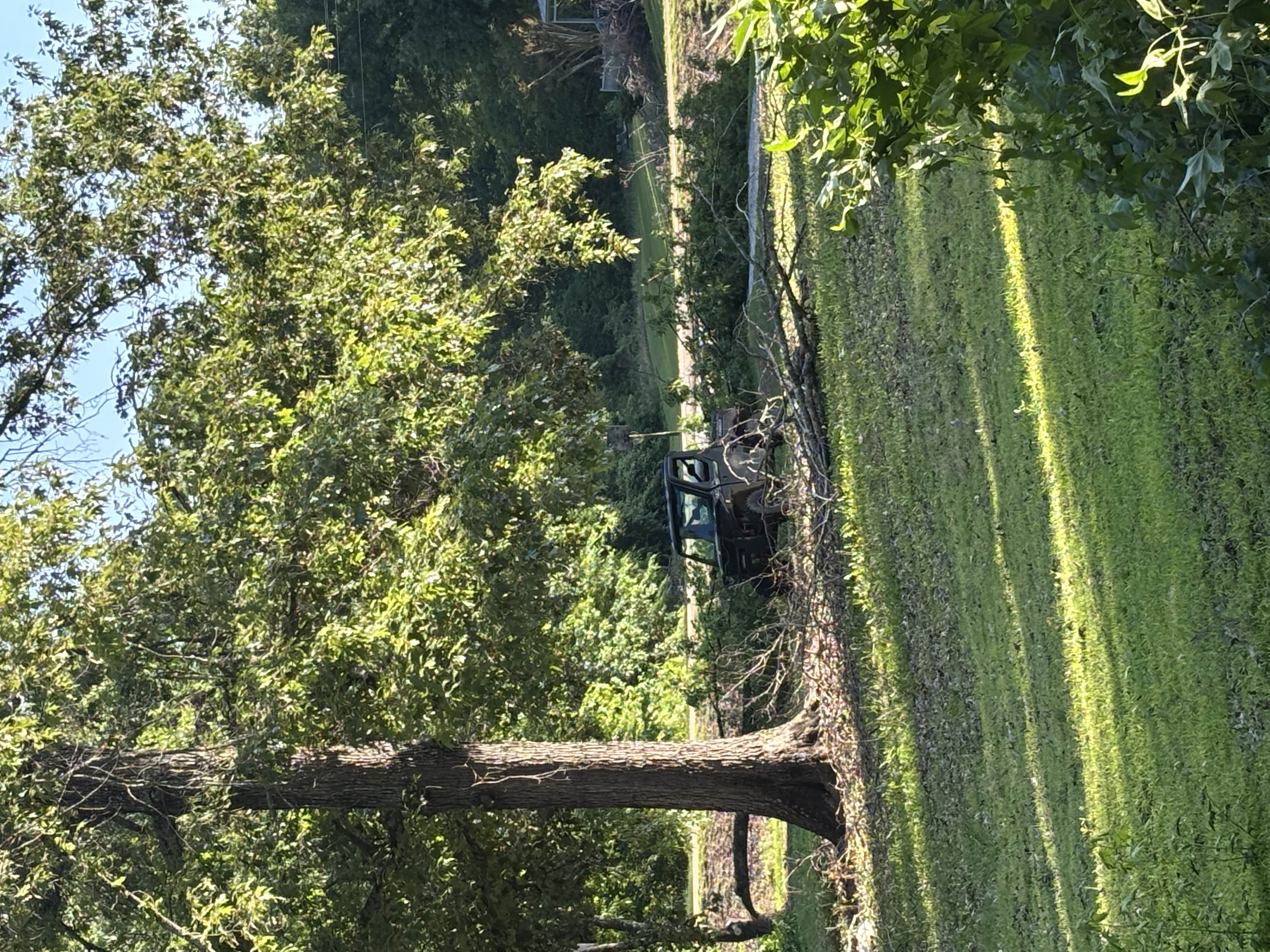 Brush clearing and land cleanup Lee County Mississippi