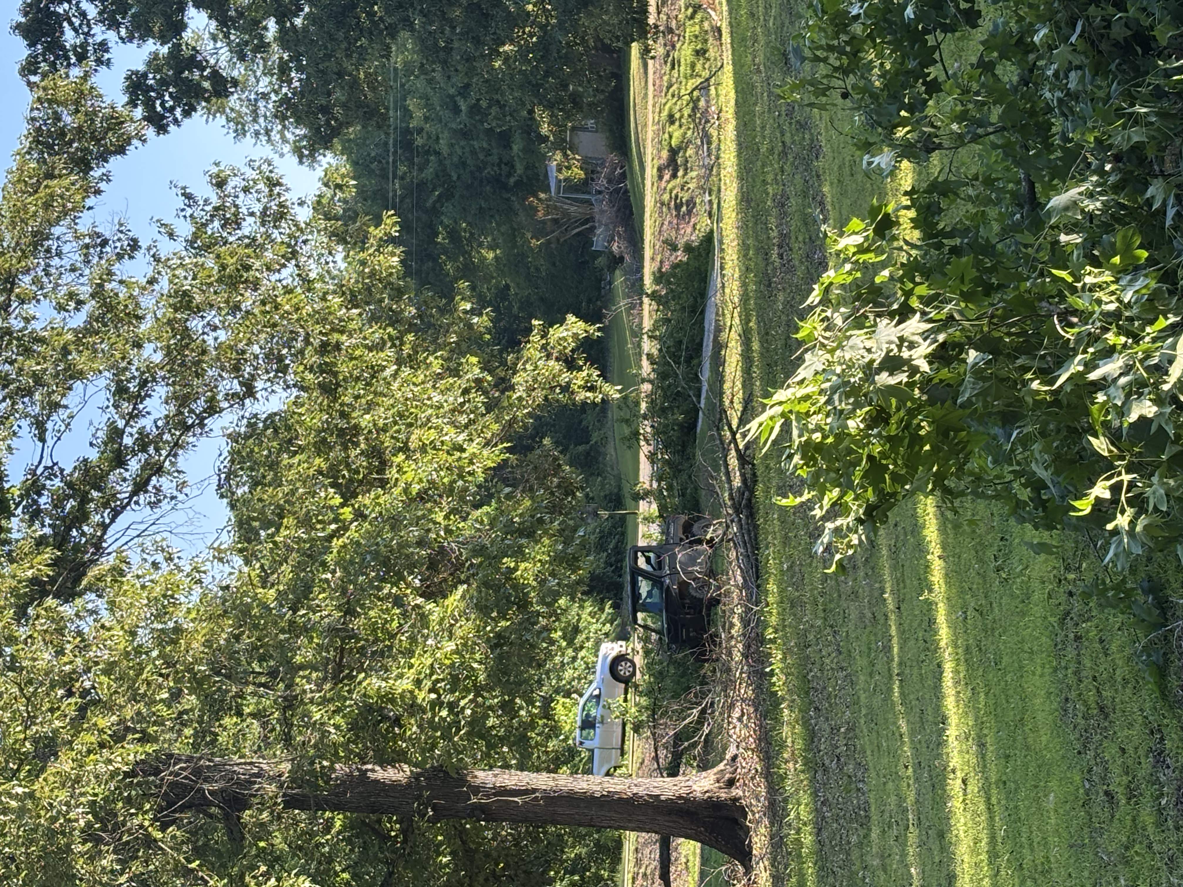 Forestry mulching operation in progress North Mississippi